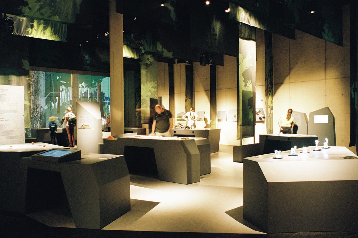 Keltenpark Otzenhausen — Ausstellungsarchitektur